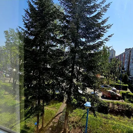 REVA - Brașov Civic Center Apartment-2